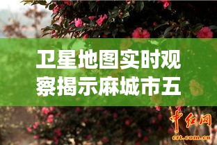 卫星地图实时观察揭示麻城市五脑山事故最新动态