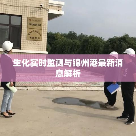 生化实时监测与锦州港最新消息解析