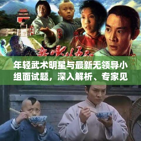 年轻武术明星与最新无领导小组面试题，深入解析、专家见解与防范策略