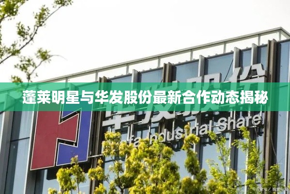 蓬莱明星与华发股份最新合作动态揭秘