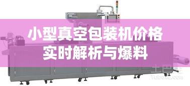 小型真空包装机价格实时解析与爆料