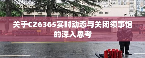 关于CZ6365实时动态与关闭领事馆的深入思考