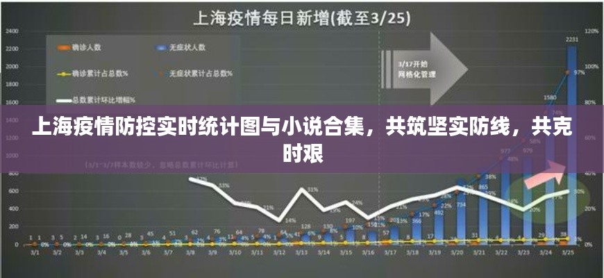 上海疫情防控实时统计图与小说合集，共筑坚实防线，共克时艰