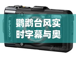 鹦鹉台风实时字幕与奥林巴斯显微镜价格，深度解析及策略建议