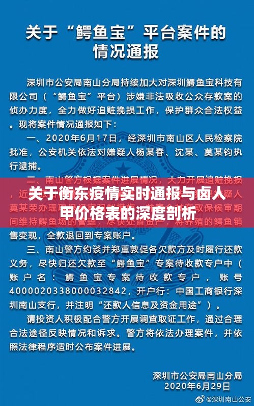 关于衡东疫情实时通报与卤人甲价格表的深度剖析