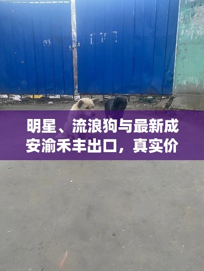 2026年2月2日 第7页