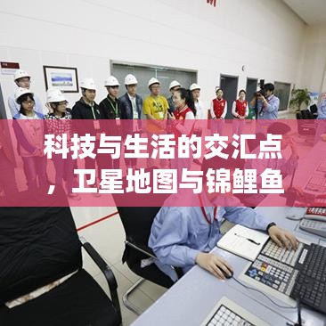 科技与生活的交汇点，卫星地图与锦鲤鱼价格的探索