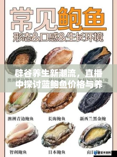 辟谷养生新潮流，直播中探讨蓝鲍鱼价格与养生之道