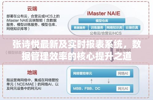 张诗悦最新及实时报表系统，数据管理效率的核心提升之道