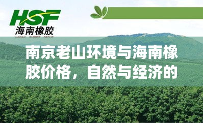 南京老山环境与海南橡胶价格，自然与经济的交汇点