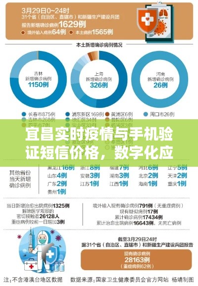 宜昌实时疫情与手机验证短信价格，数字化应对策略应对疫情挑战