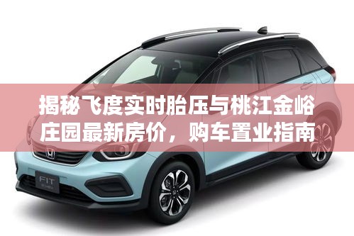 揭秘飞度实时胎压与桃江金峪庄园最新房价，购车置业指南
