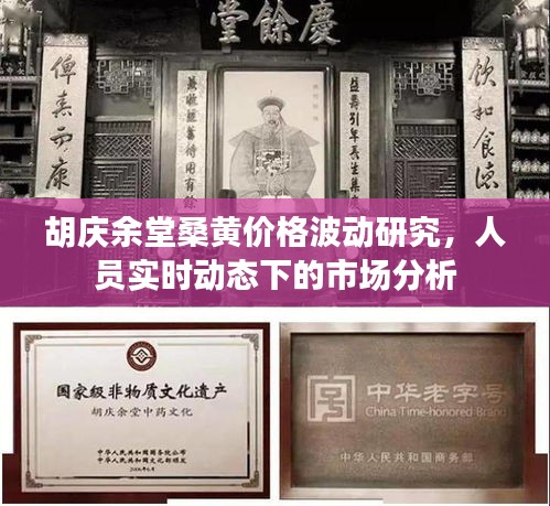 胡庆余堂桑黄价格波动研究，人员实时动态下的市场分析