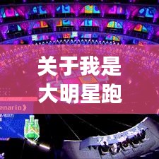 关于我是大明星跑调姐与2017最新招聘语的全面解读与风险防范