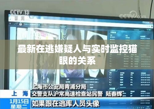 最新在逃嫌疑人与实时监控猫眼的关系
