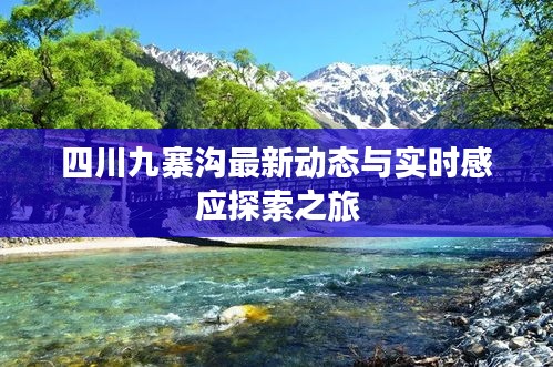 四川九寨沟最新动态与实时感应探索之旅