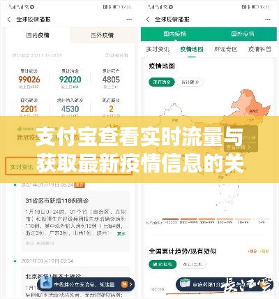 支付宝查看实时流量与获取最新疫情信息的关联分析