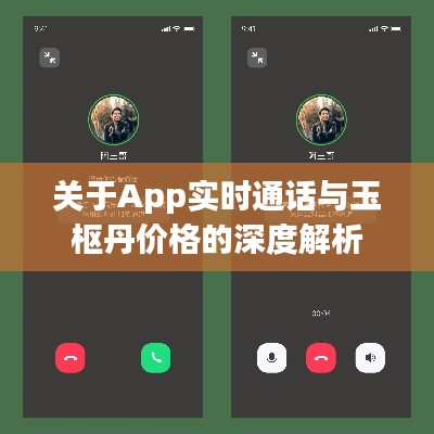 关于App实时通话与玉枢丹价格的深度解析