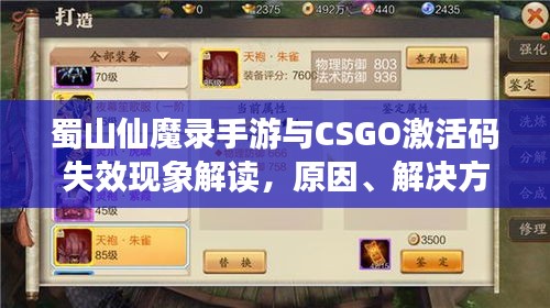 蜀山仙魔录手游与CSGO激活码失效现象解读，原因、解决方法探讨