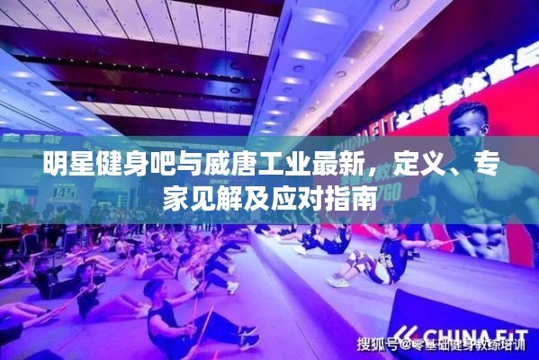 明星健身吧与威唐工业最新，定义、专家见解及应对指南
