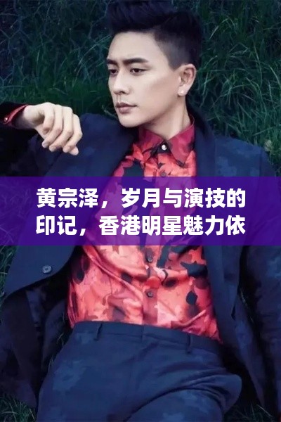 黄宗泽，岁月与演技的印记，香港明星魅力依旧不减