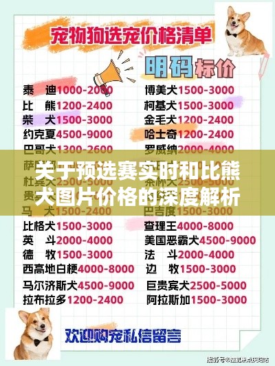 关于预选赛实时和比熊犬图片价格的深度解析
