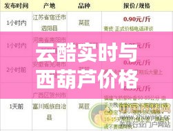 云酷实时与西葫芦价格行情深度解析及市场走势展望
