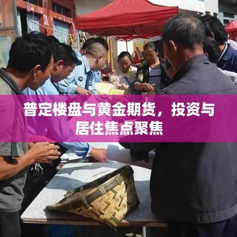 普定楼盘与黄金期货，投资与居住焦点聚焦