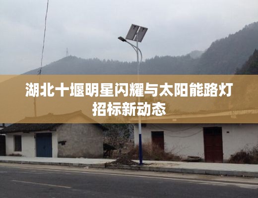湖北十堰明星闪耀与太阳能路灯招标新动态