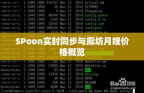 SPoon实时同步与廊坊月嫂价格概览