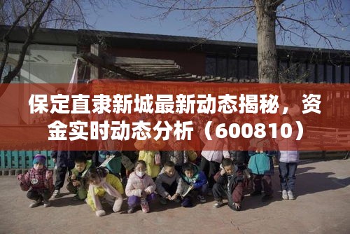 保定直隶新城最新动态揭秘，资金实时动态分析（600810）