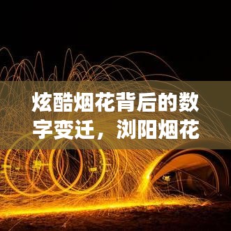 炫酷烟花背后的数字变迁,浏阳烟花爆竹价格实时监控与图片动态替换