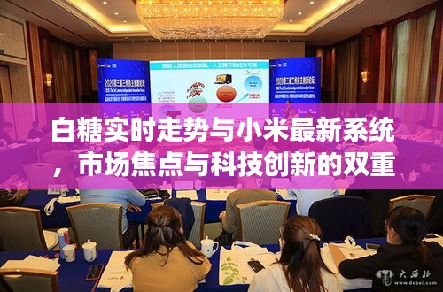 白糖实时走势与小米最新系统，市场焦点与科技创新的双重聚焦