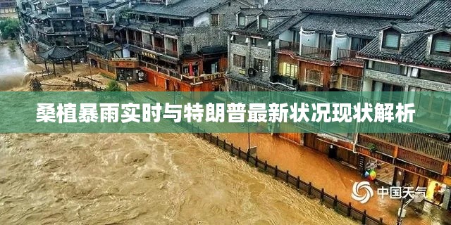 桑植暴雨实时与特朗普最新状况现状解析