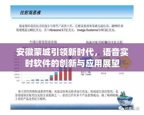安徽蒙城引领新时代,语音实时软件的创新与应用展望