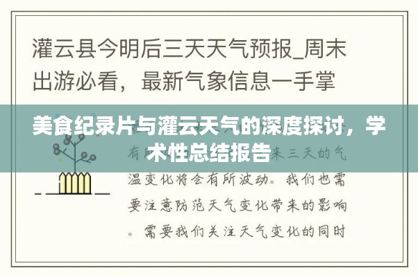 美食纪录片与灌云天气的深度探讨，学术性总结报告