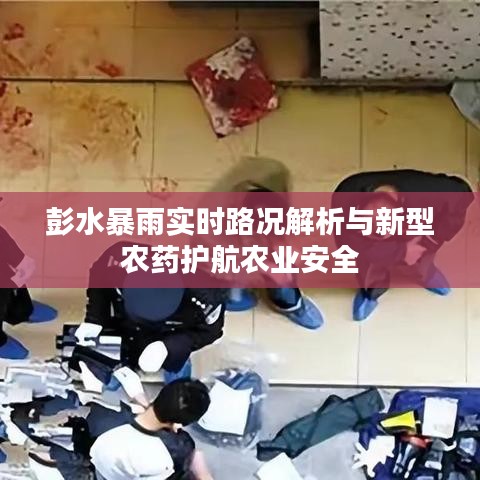 彭水暴雨实时路况解析与新型农药护航农业安全