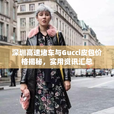 深圳高速堵车与Gucci皮包价格揭秘,实用资讯汇总