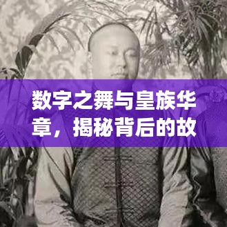 数字之舞与皇族华章,揭秘背后的故事