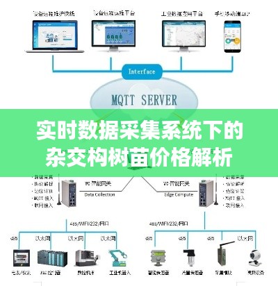 实时数据采集系统下的杂交构树苗价格解析