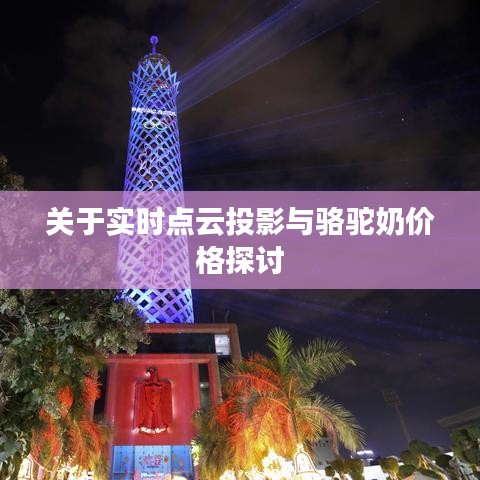 关于实时点云投影与骆驼奶价格探讨