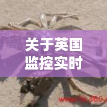 关于英国监控实时下的野生蝎子价格探讨