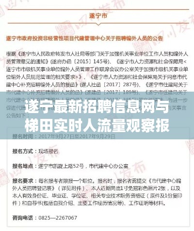 遂宁最新招聘信息网与梯田实时人流量观察报告