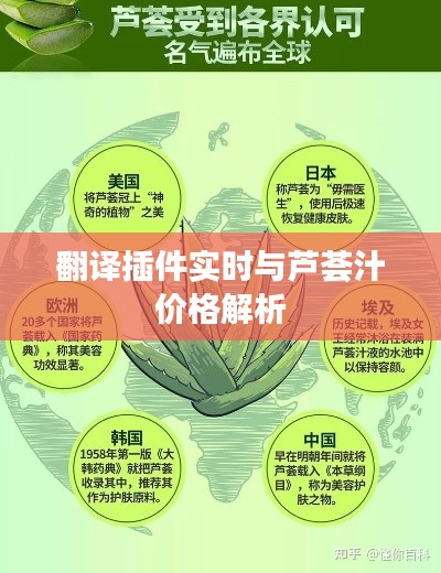 翻译插件实时与芦荟汁价格解析