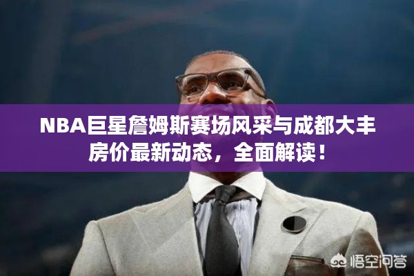 NBA巨星詹姆斯赛场风采与成都大丰房价最新动态，全面解读！