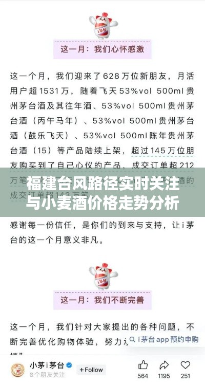 福建台风路径实时关注与小麦酒价格走势分析