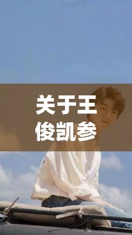 关于王俊凯参加全明星赛与魏哲鸣最新微博照片的解读