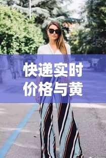 快递实时价格与黄多多时尚穿搭深度解析