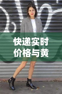 快递实时价格与黄多多时尚穿搭深度解析