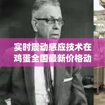 实时震动感应技术在鸡蛋全国最新价格动态监测中的应用分析摘要